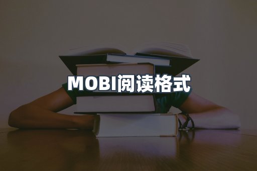 MOBI阅读格式